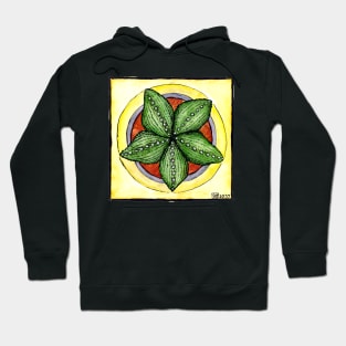 Astrophytum cactus star cacti plant watercolour illustration Hoodie